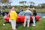 [PICS] The Corvette Sting Rays of Amelia Island 2013