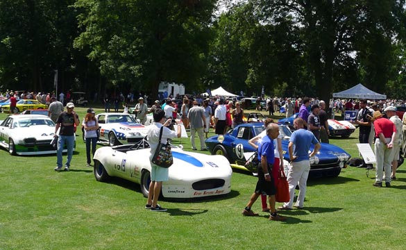 [PICS] Corvette vs. Jaguar at the Concours d'Elegance of America