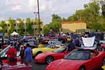 [PICS] 2012 Corvettes on Woodward Food Drive