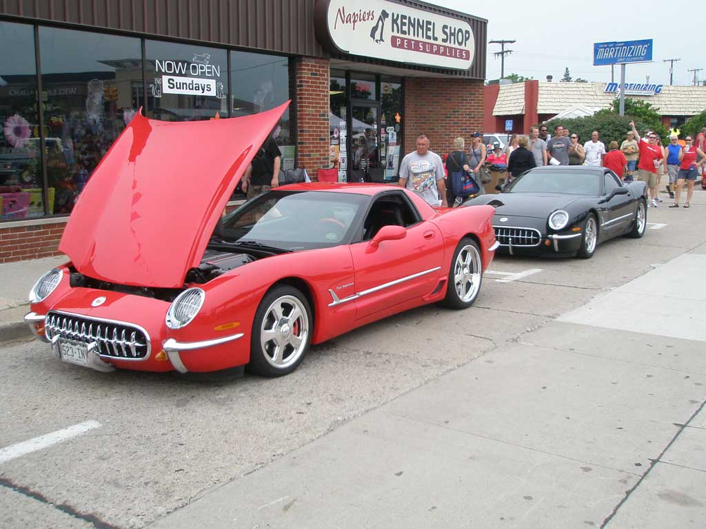 [PICS] The Corvettes of the Woodward Dream Cruise