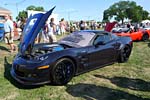 [PICS] The Corvettes of the 2012 Woodward Dream Cruise