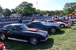 [PICS] The Corvettes of the 2012 Woodward Dream Cruise