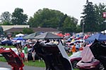 [PICS] Corvettes at Carlisle 2012