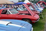 [PICS] Corvettes at Carlisle 2012