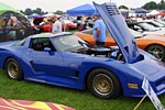 [PICS] Corvettes at Carlisle 2012