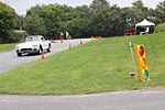 [PICS] Corvettes at Carlisle 2012