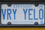 Corvette Vanity License Plates from Corvettes at Carlisle