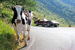 [PICS] German Corvette Owner Drives the 10 Highest Roads in the Alps