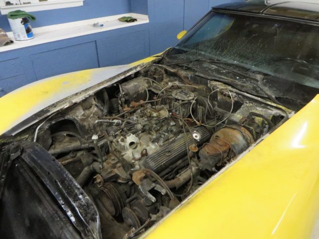 1981 Corvette Engine Bay