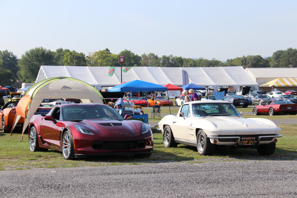 Corvettes at Carlisle