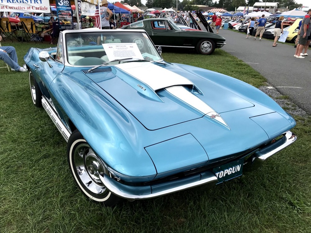 502 Vette