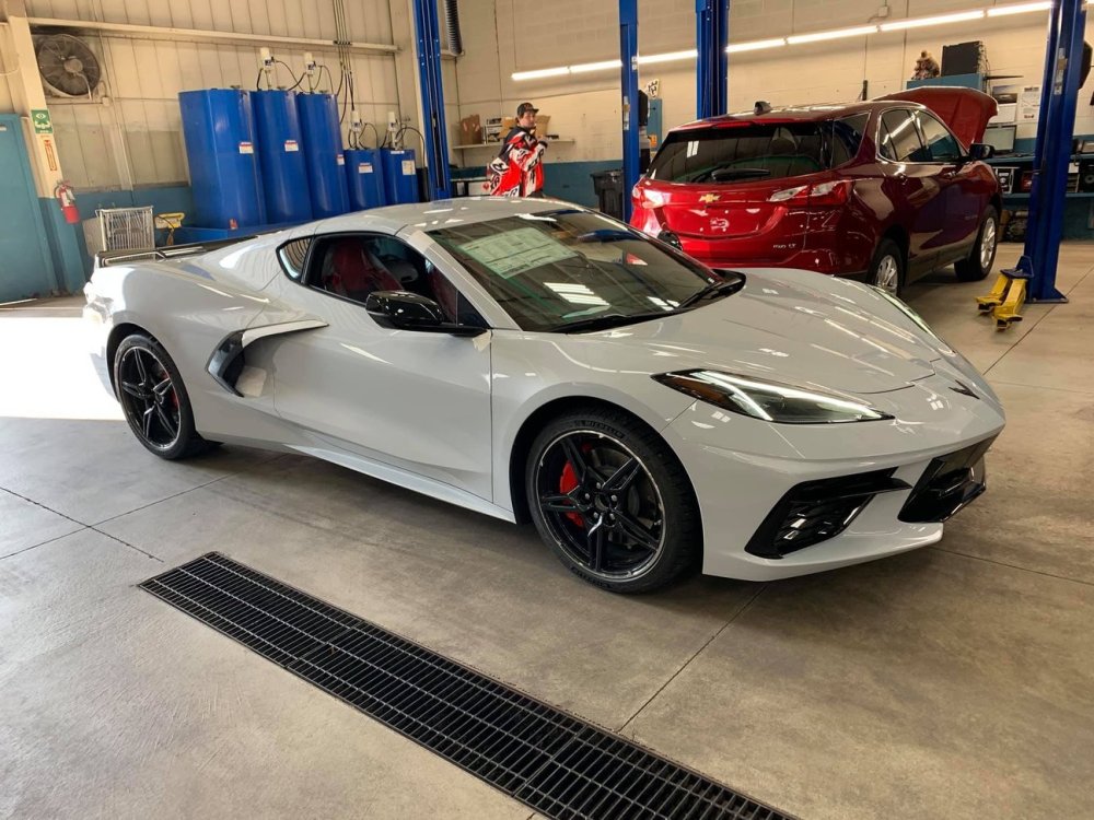 Ceramic Matrix Grey Stingray