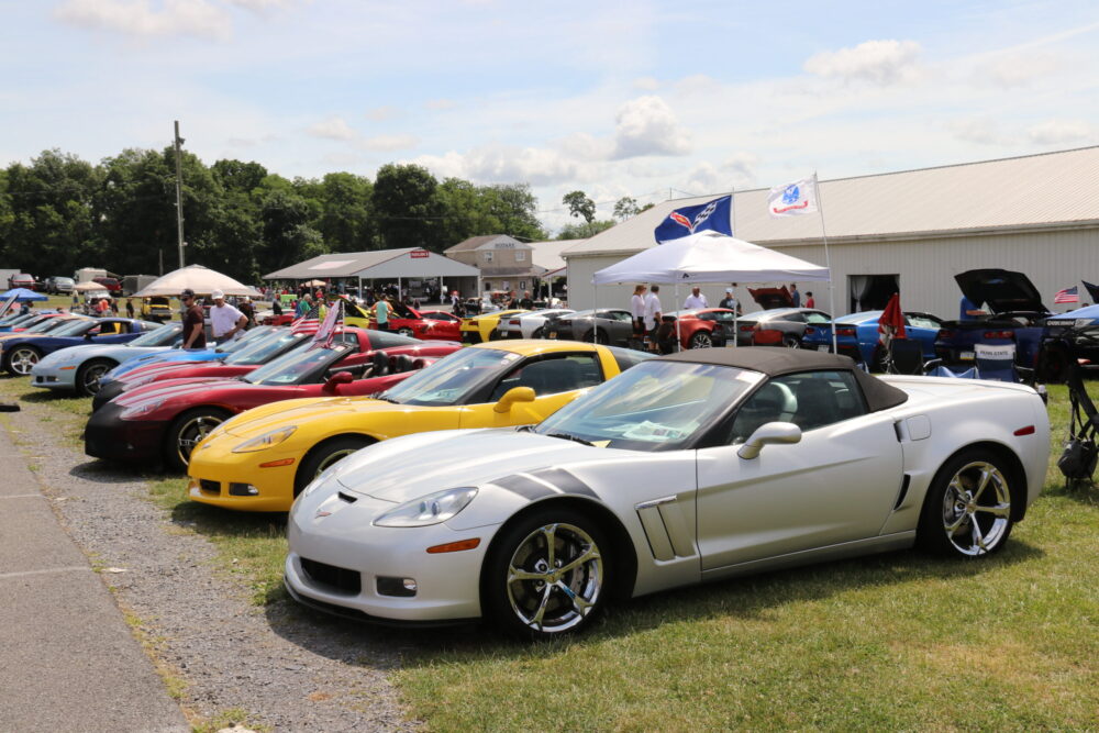 Corvettes at Carlisle