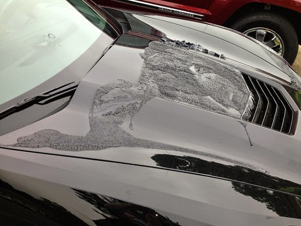 chevrolet-corvette-stingray-paint-stripper-acid-vandalism