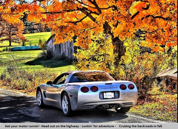 Corvette in the fall