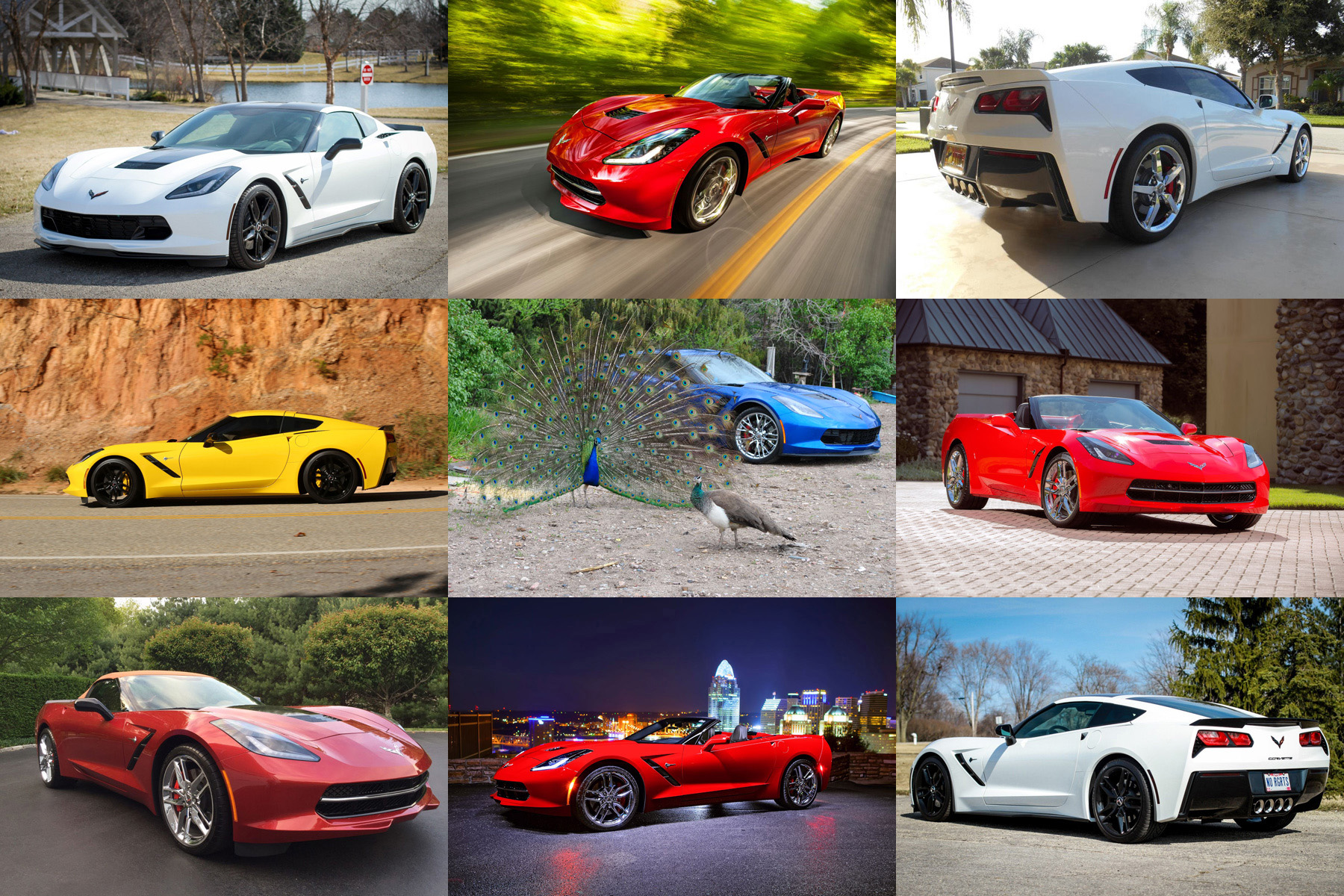 Corvette of the Month Contest Collage Corvette Forum