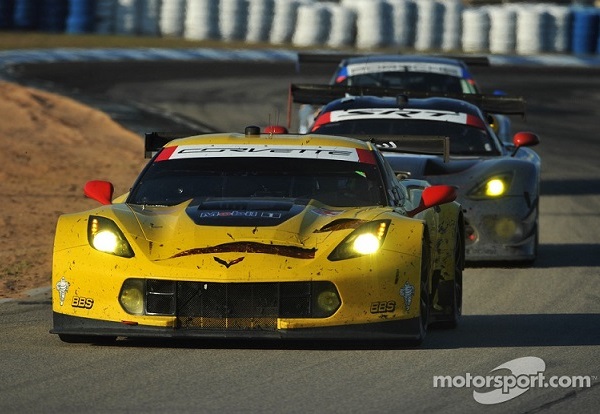 Corvette Racing in text