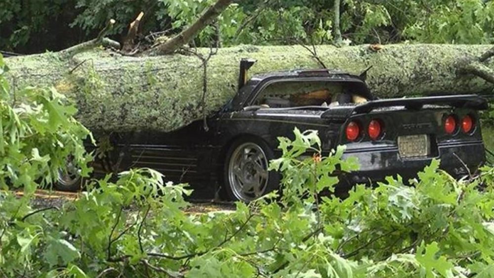 Hurricane-proofing your Corvette