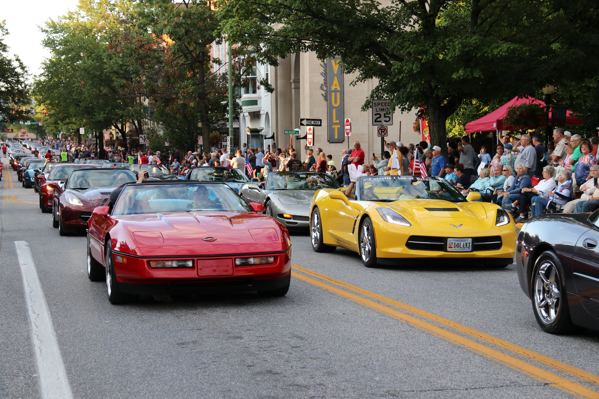 Corvettes at Carlisle