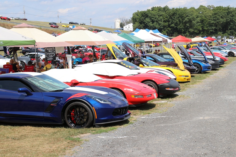 Corvettes at Carlisle