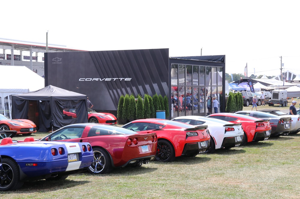 Corvettes at Carlisle