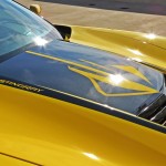 Corvette Forum's Car of the Month Featured Winners