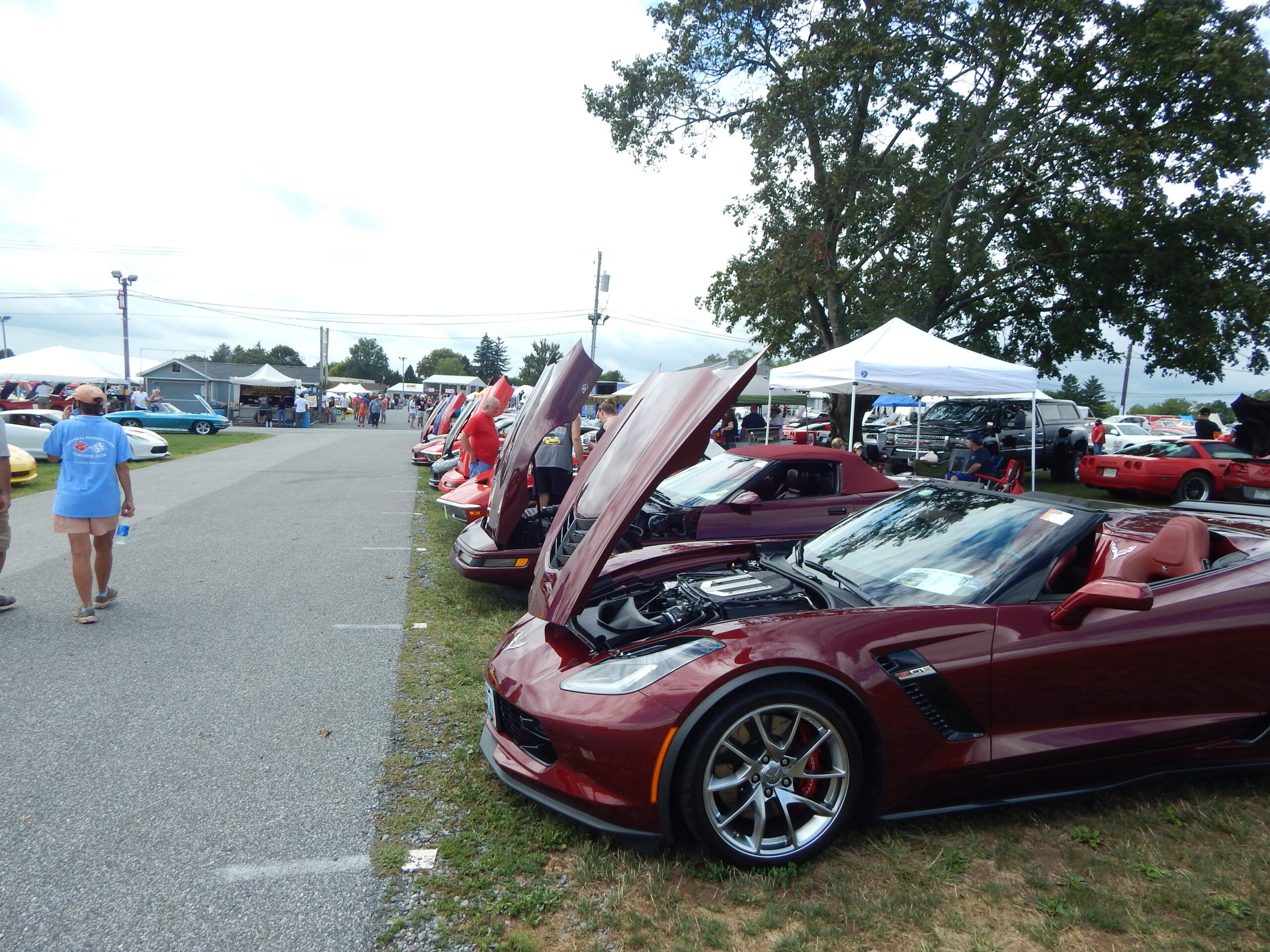 Corvettes at Carlisle