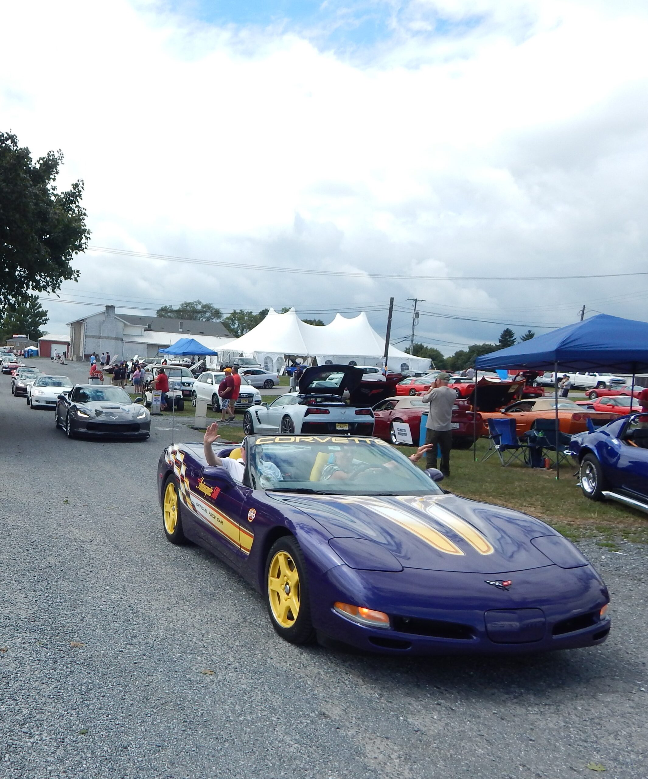 C5 Pace Car