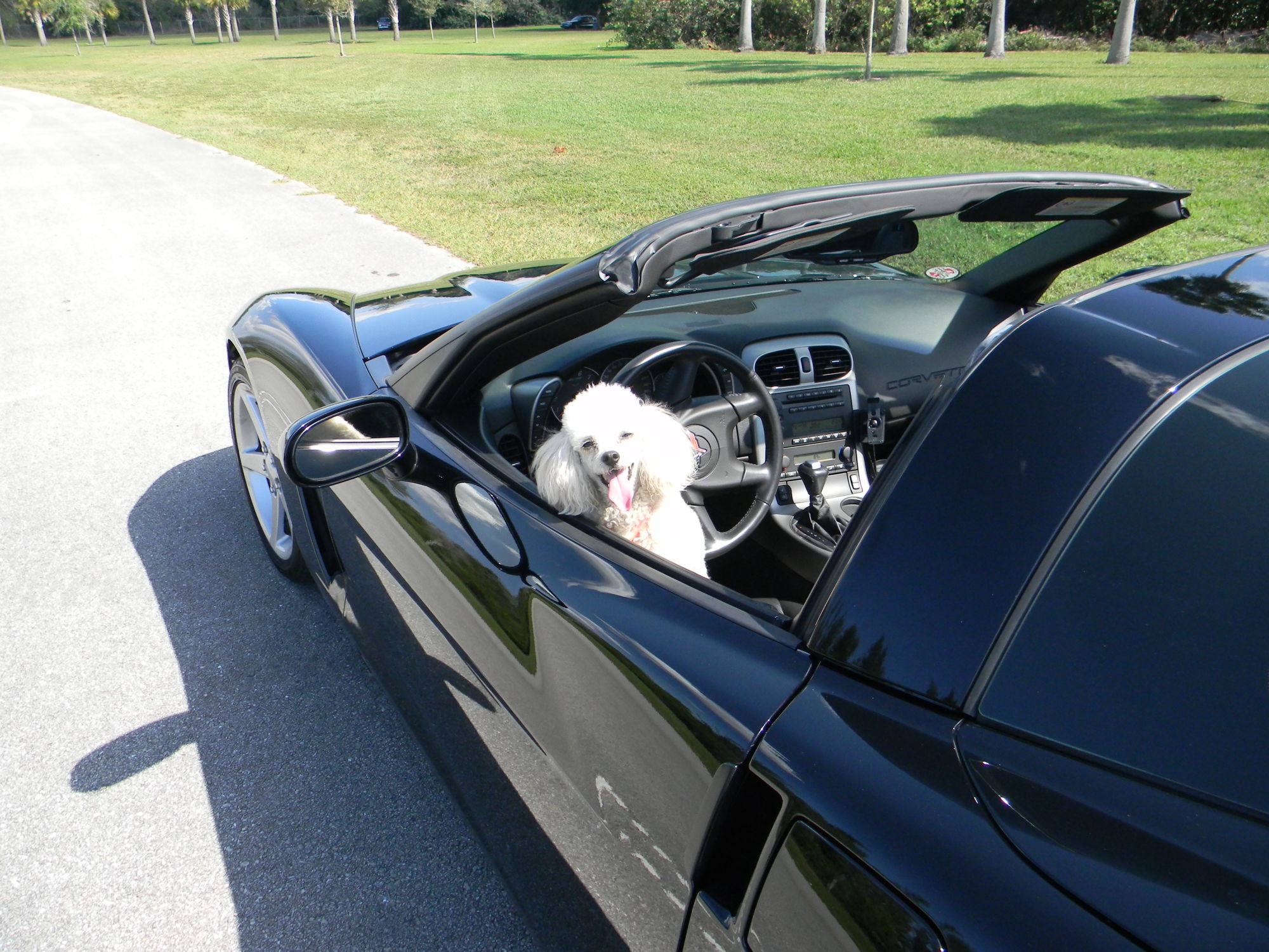 C6 Corvette Owners Take Their Tops Off