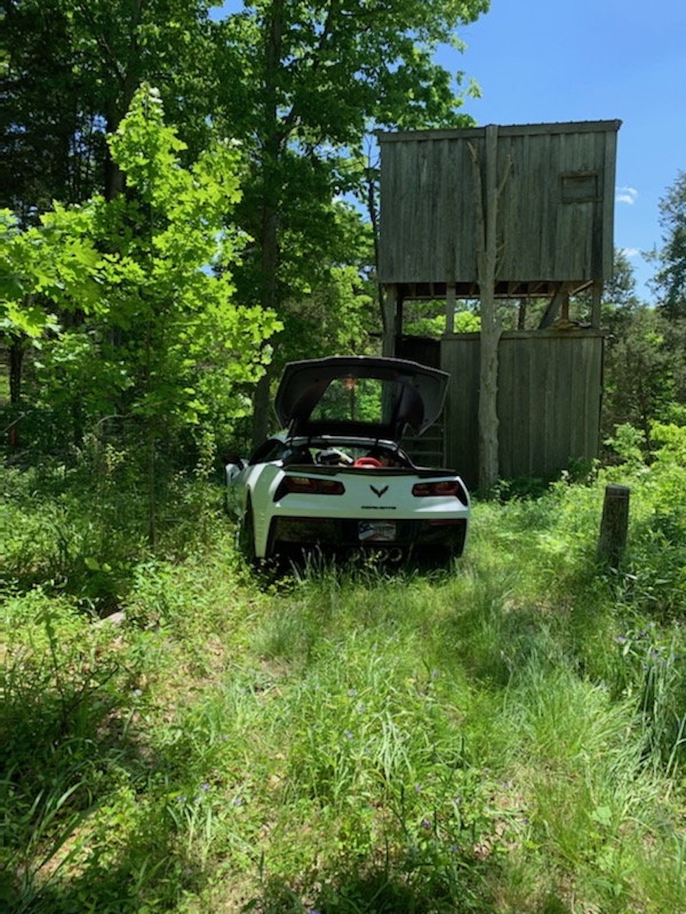 C7 Corvette Pickup