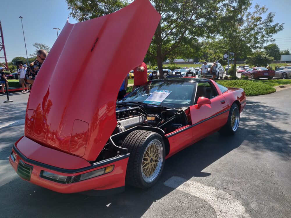 Falconer Corvette ZR-12