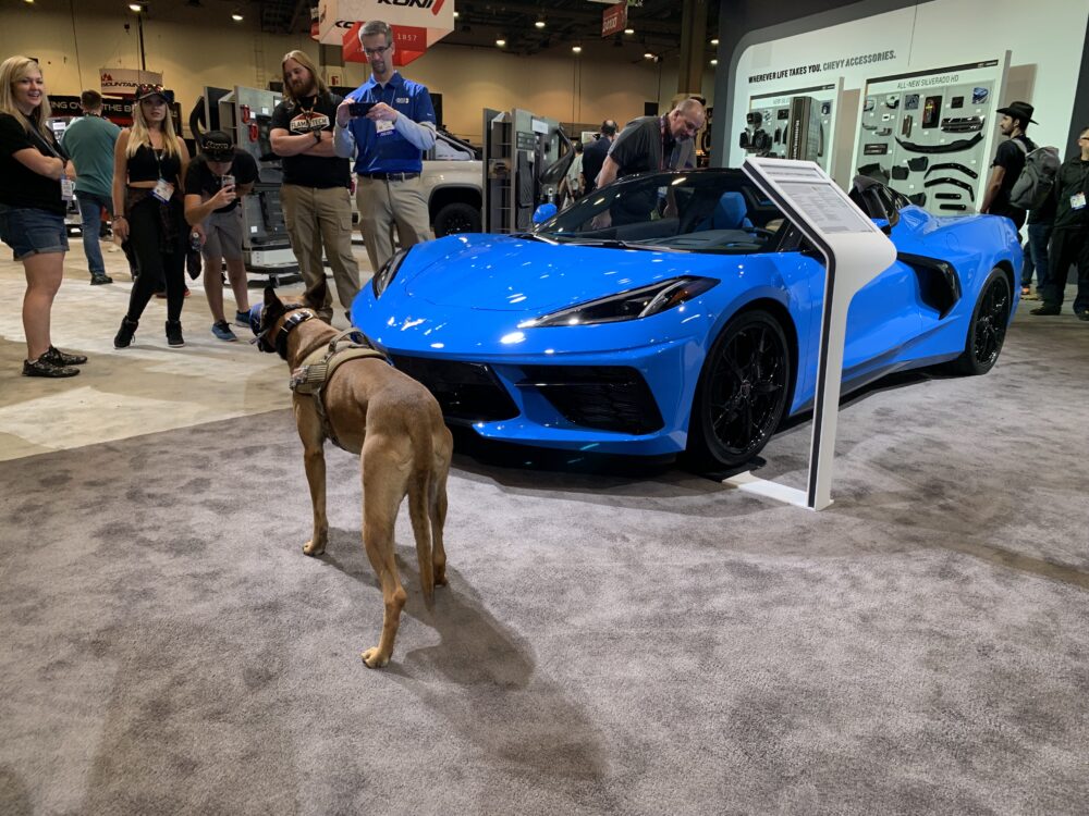 2020 Corvette Stingray Convertible - SEMA 2019