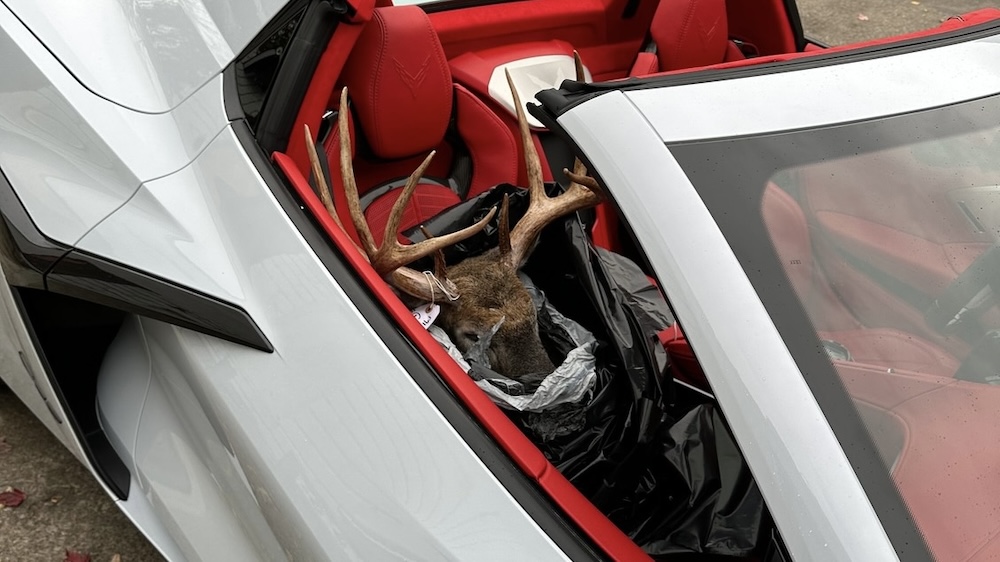 2023 Corvette Z06 Hauling Deer