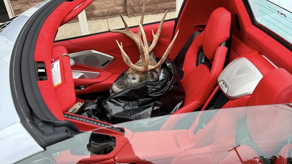 2023 Corvette Z06 Hauling Deer