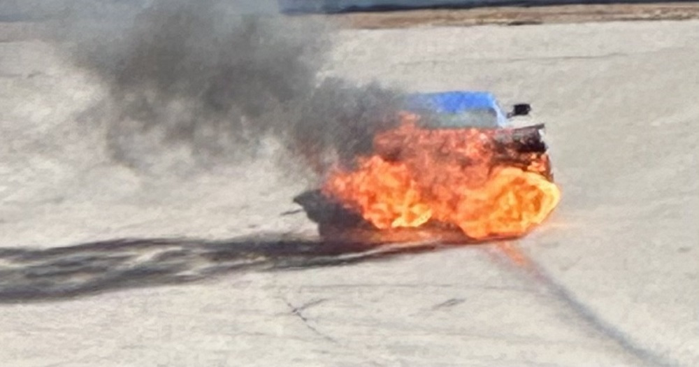 exploding stingray