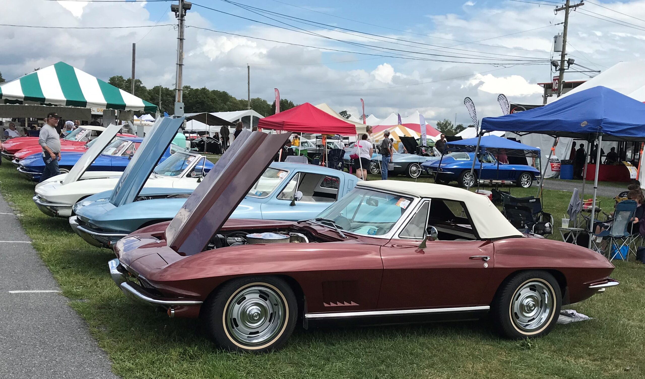 C2 Corvettes