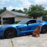 Corvette of the Week: This C7 Actually Has a Decent-Looking Front License Plate