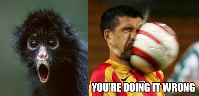 OMG Monkey - You're Doing it Wrong Meme