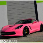 Paris Hilton Strikes a Pose with Her C7