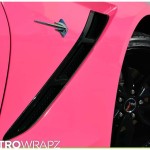 Paris Hilton Strikes a Pose with Her C7