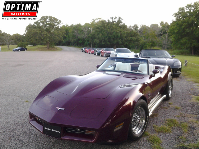 Purple C3 Corvette Line Up