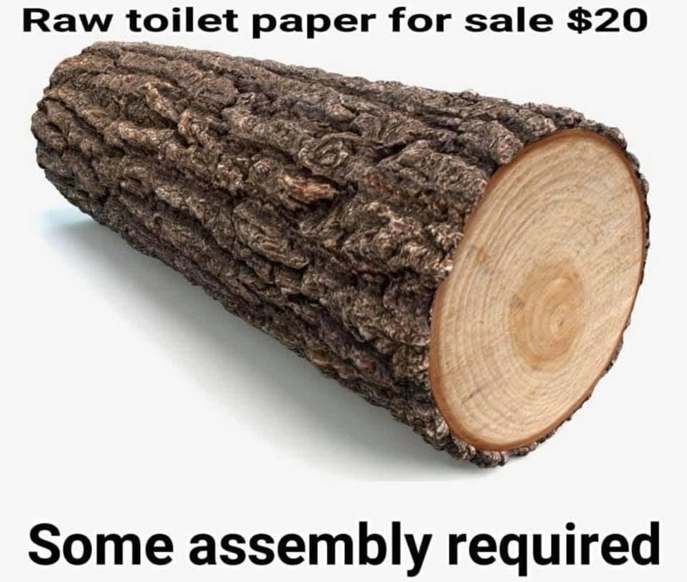 Raw Toilet Paper