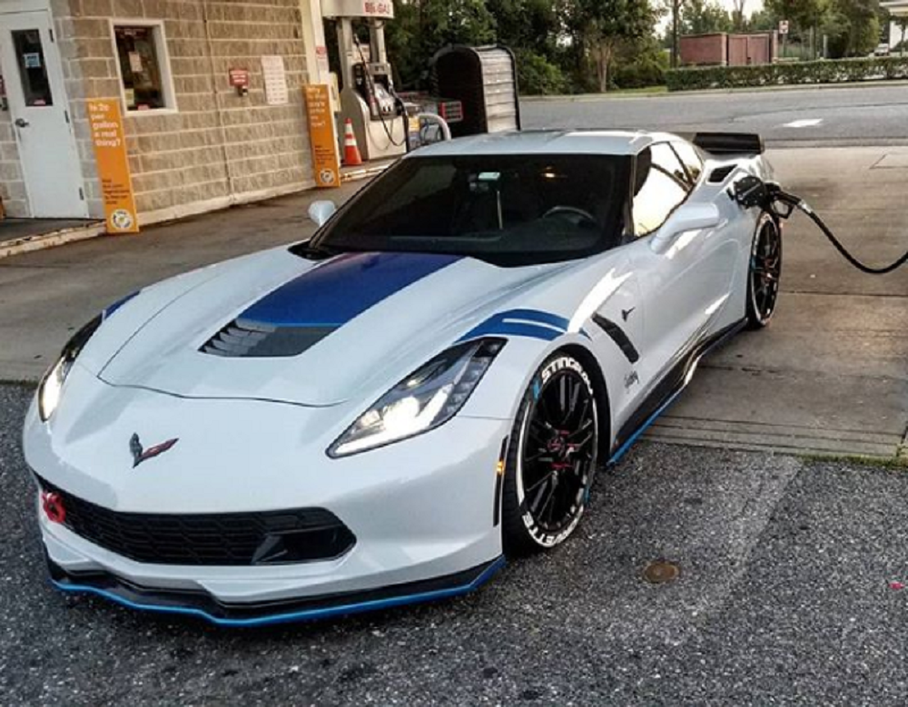 Gabby the stingray C7 Corvette