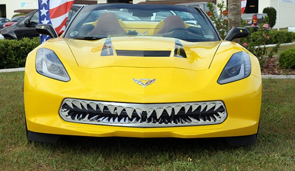 Shark-Vette-2 text