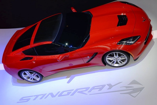 stingray-lead-image.jpg