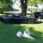 Corvette Forum's Facebook Fridays Goes to the Dogs