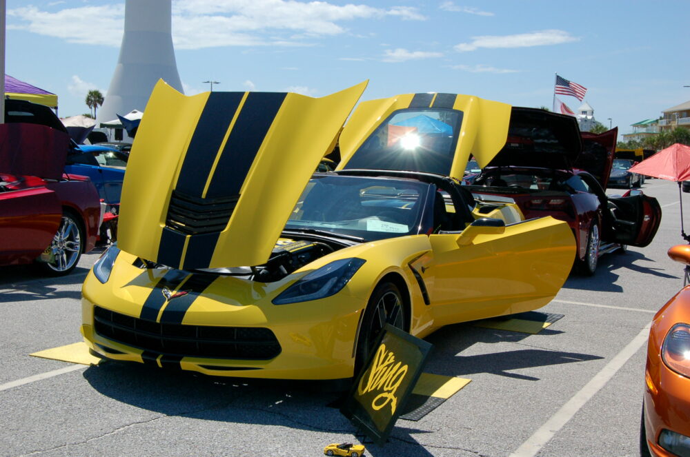 Vettes at the Beach