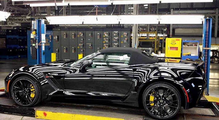 Z06 Plant